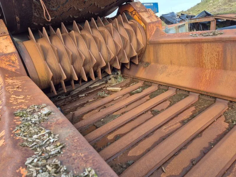 IMG-20250325-WA0009 IMG-20250325-WA0009